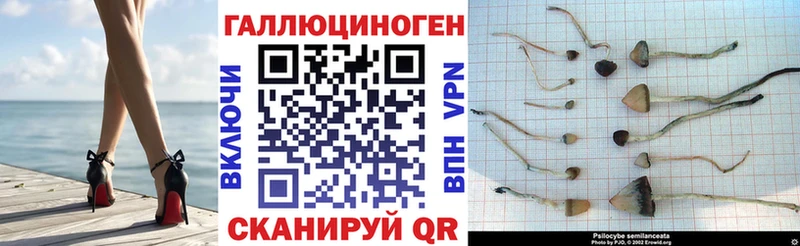Псилоцибиновые грибы мухоморы  цена наркотик  Медынь 